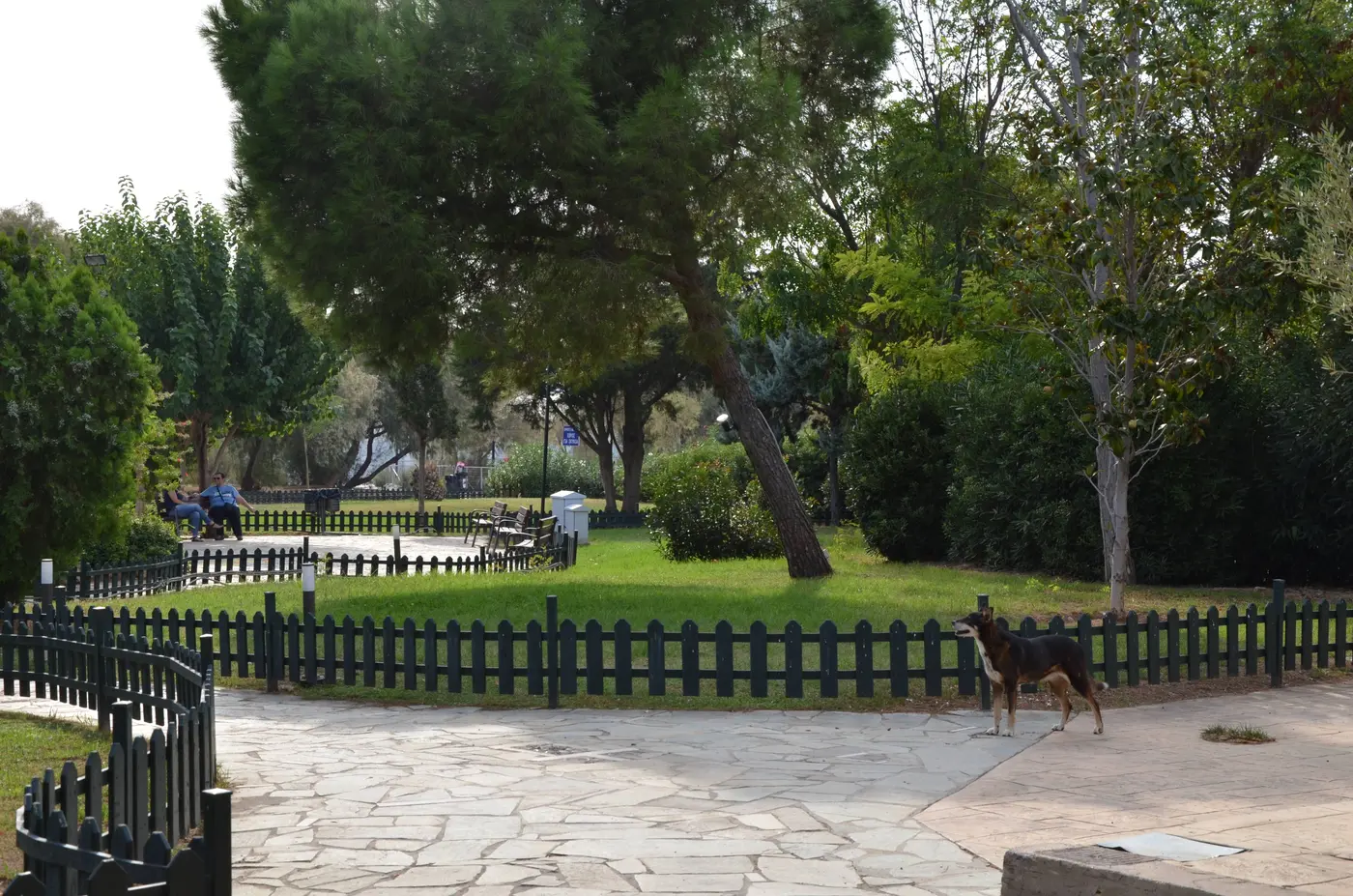 Απογευματινή βόλτα στο Πάρκο Φλοίσβου